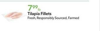 Publix Tilapia fillets offer