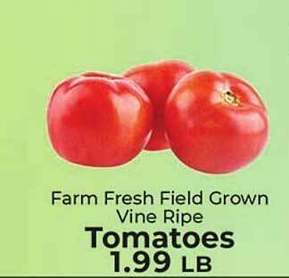 Sunset Foods Farm fresh field grown vine ripe tomatoes offer