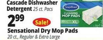 Ocean State Job Lot Cascade dishwasher detergent offer