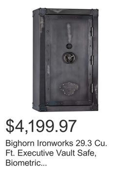 Costco Bighorn ironworks 29.3 cu. ft. executive vault safe, biometric lock, fire rated offer