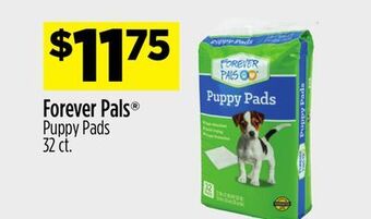 Dollar General Forever pals® puppy pads offer