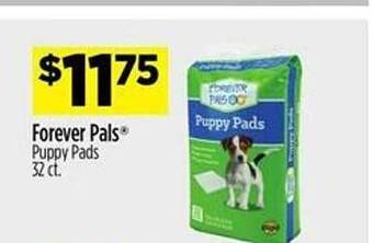 Dollar General Forever pals puppy pads offer