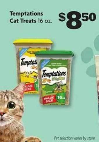 Family Dollar Temptations cat treats offer