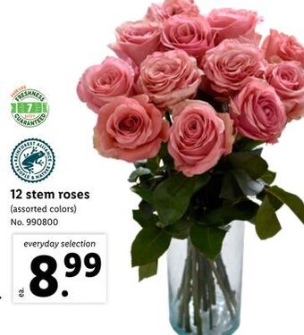 Lidl 12 stem roses offer