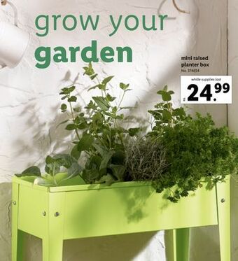 Lidl Mini raised planter box offer