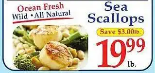 DeMoulas Market Basket Sea scallops offer