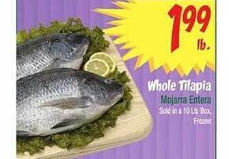 Food City Whole tilapia offer