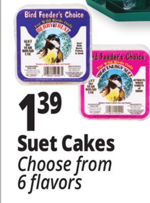 Ocean State Job Lot Suet cakes offer
