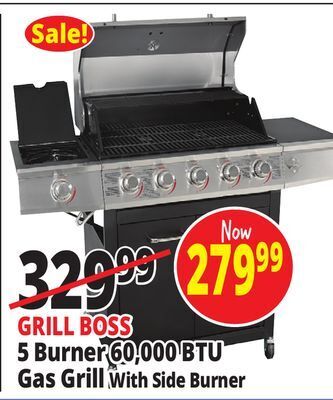 Ocean State Job Lot Grill boss 5-burner gas grill with side burner offer