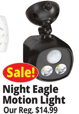 Ocean State Job Lot Night eagle motion-activated sensor security spotlight offer