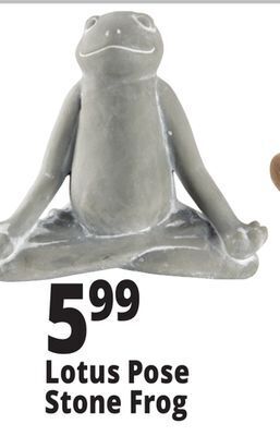 Ocean State Job Lot Lotus pose stone frog offer
