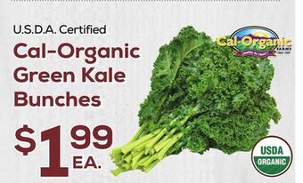 DeCicco & Sons Cal-organic green kale bunches offer