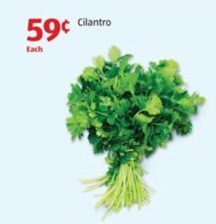 Aldi Cilantro offer