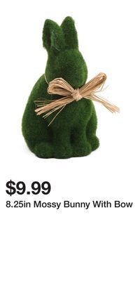 TJ Maxx 8.25in mossy bunny with bow offer