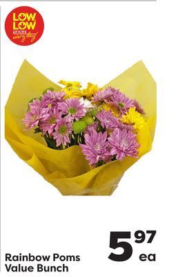Weis Markets Rainbow poms value bunch offer
