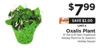 ShopRite Oxalis plant offer