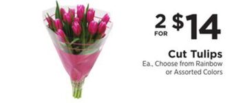 ShopRite Cut tulips offer