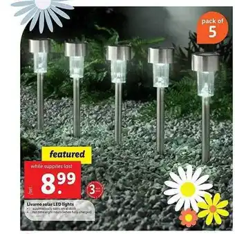 Weis Markets Livarno solar led lights offer