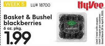 Hy-Vee Basket & bushel blackberries offer