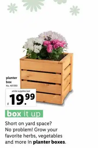 Lidl Planter box offer