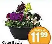 Save Mart Color bowls offer