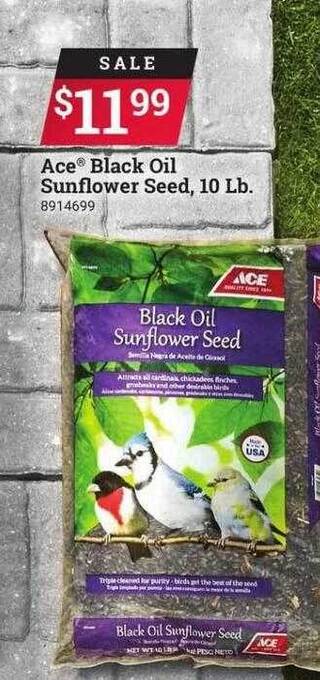 Ace Hardware Ace black oil sunflower seed, 10 lb. offer