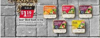 Ace Hardware Ace bird suet, 11 oz. offer