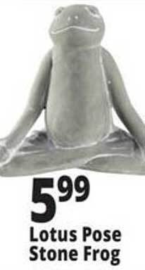 Ocean State Job Lot Lotus pose stone frog offer