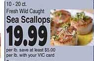 Harris Teeter Sea scallops offer