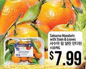 Hmart Satsuma mandarin with stem & leaves offer