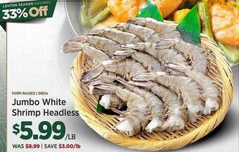 Jumbo white shrimp headless