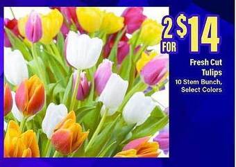 Big Y Fresh cut tulips offer