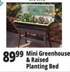 Ocean State Job Lot Mini greenhouse & raised planting bed offer