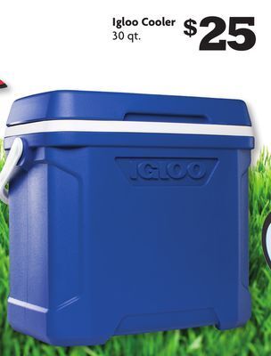 Family Dollar Igloo cooler offer