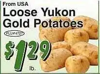 Loose yukon gold potatoes