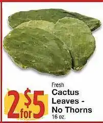 Amigos United Cactus leaves no thorns offer