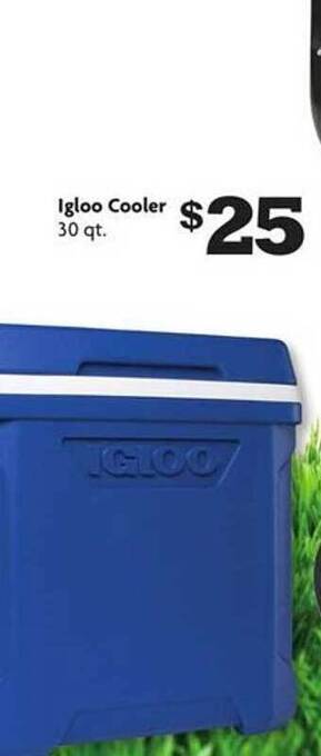 Family Dollar Igloo cooler offer