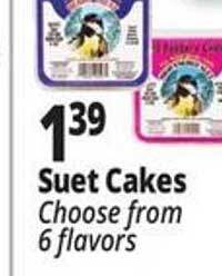 Ocean State Job Lot Suet cakes offer