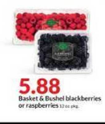 Hy-Vee Basket & bushel blackberries or raspberries offer