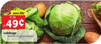 Lidl Cabbage offer