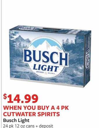Fareway Busch light offer