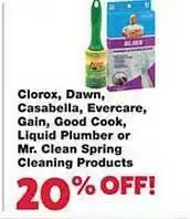 Family Fresh Market Clorox, dawn, casabella, evercare, gain, good cook, liquid plumber or mr. clean spring cleaning products offer
