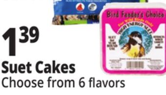 Ocean State Job Lot Suet cakes offer
