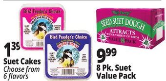 Ocean State Job Lot Suet offer
