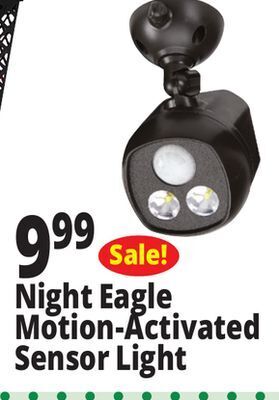Ocean State Job Lot Night eagle motion-activated sensor security spotlight offer