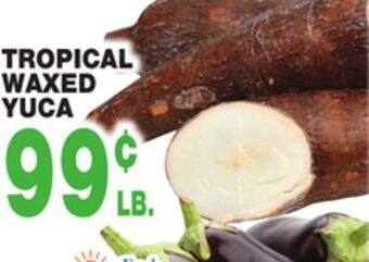 Bravo Supermarkets Tropical waxed yuca offer