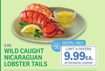 Kings Food Markets Wild caught nicaraguan lobster tails offer