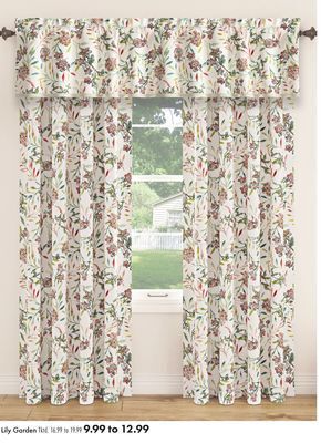 Boscov's Lily garden offer