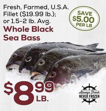 DeCicco & Sons Whole black sea bass offer