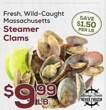 DeCicco & Sons Massachusetts steamer clams offer